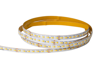 Taśma AMPIO 200 LED CCT 1m 24V/2700K-6500K