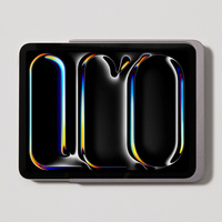 DAME WALL HOME 2.0 IPAD PRO 13 (TYTAN)