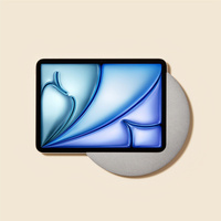 SUNSET IPAD 11.0 (TYTAN)-USB C